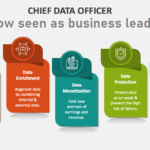 chief data officer